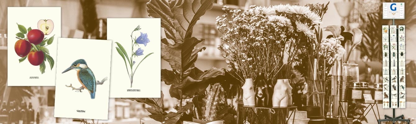 Blomsterhandel Vykort hos Gullers