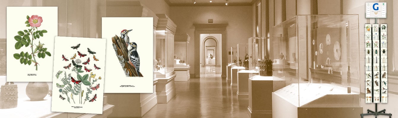 Museum vikta kort från Gullers Trading
